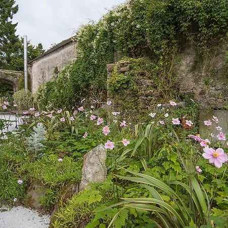 Ballyboy House Cork
