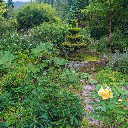 Ballyboy House *